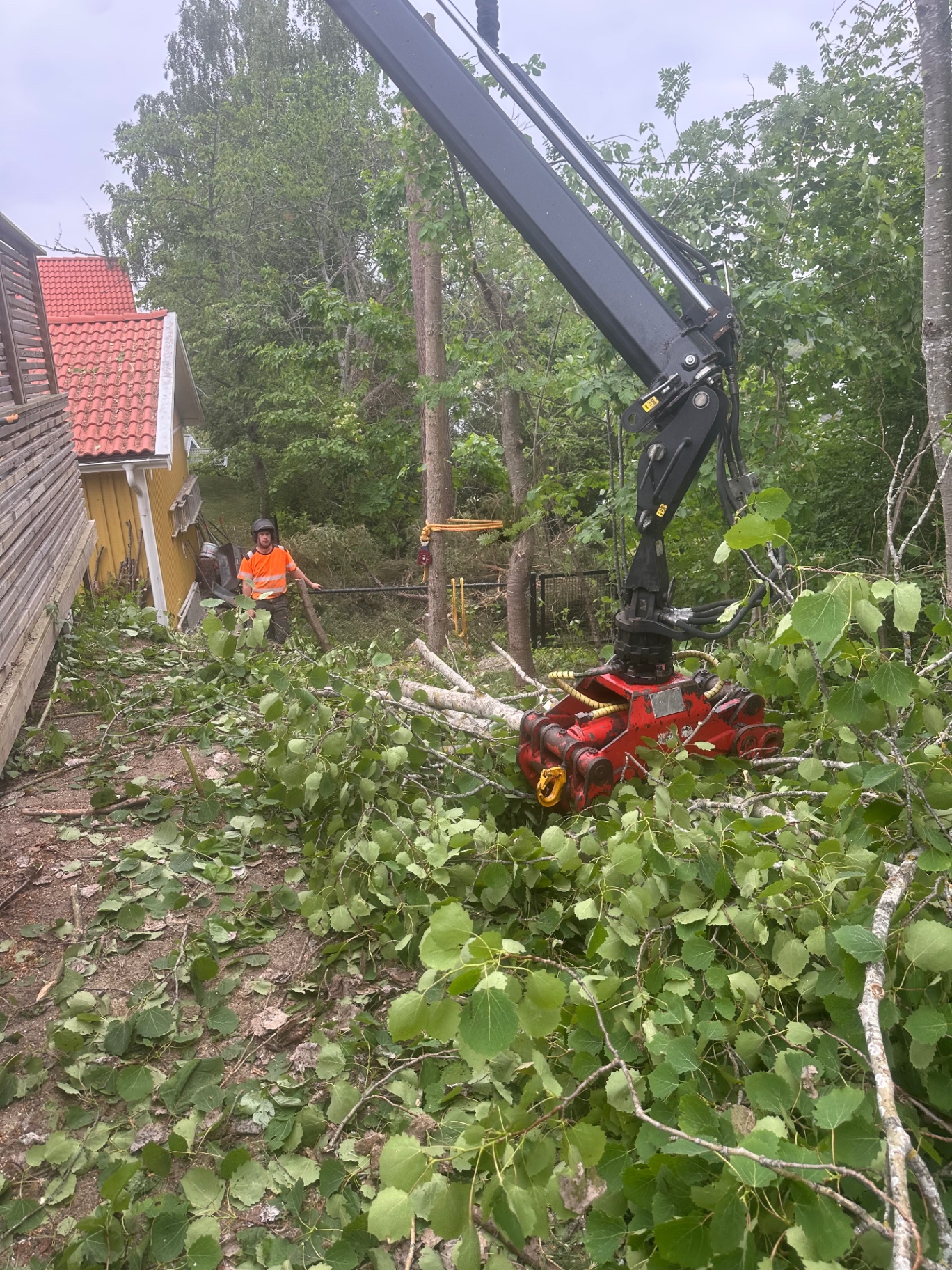 Trädfällning med kranbil på villatomt i Bromma, Stockholm